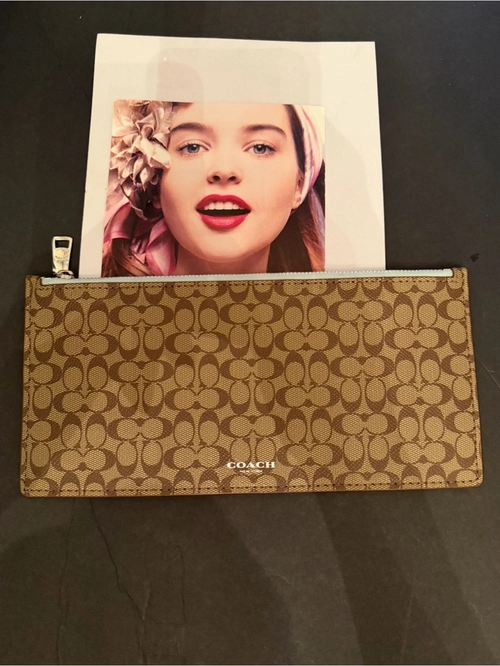 Coach Brown Signature Canvas Zip Pouch
